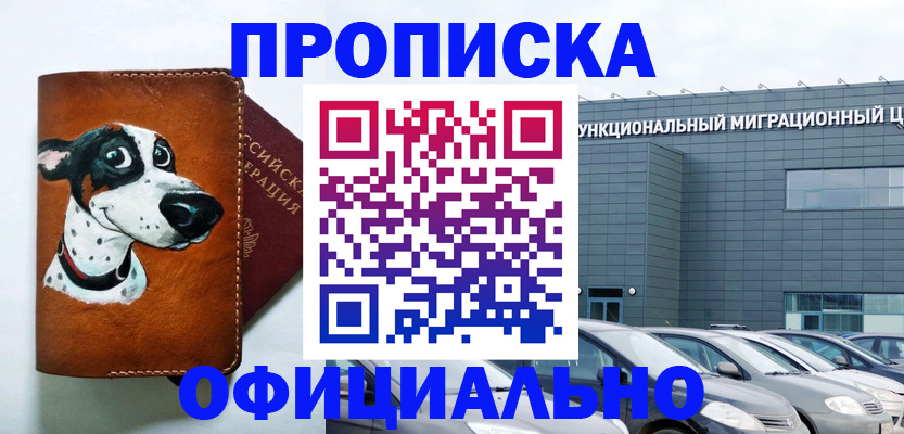 временная прописка в Зее